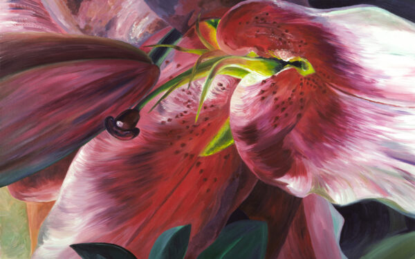 Painting of a Lily
